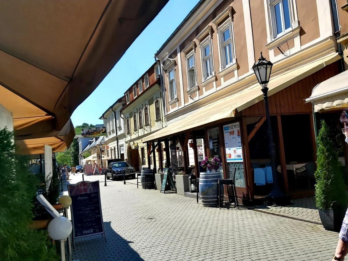 Lena Apartman - Eger Buitenkant foto